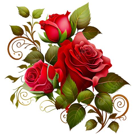 vector rose png|transparent images of roses.